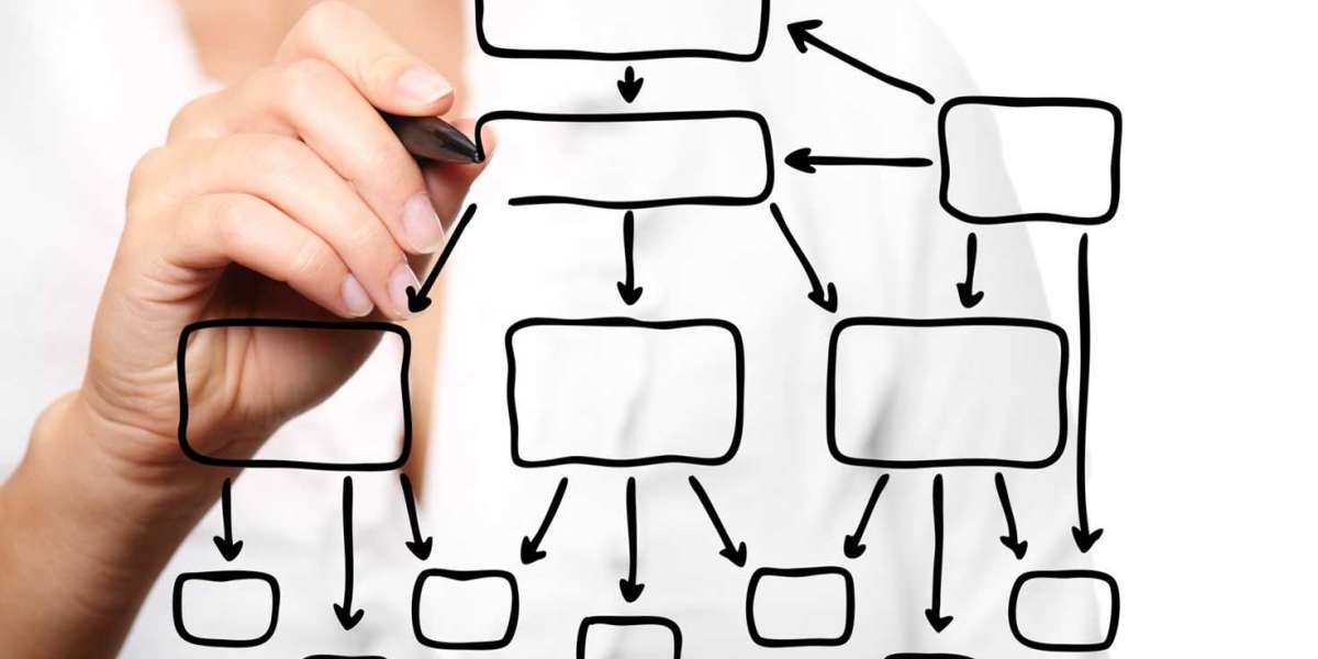 Organigramma aziendale: scopri che cos'è, le tipologie e quali vantaggi porta all'interno di un'azienda